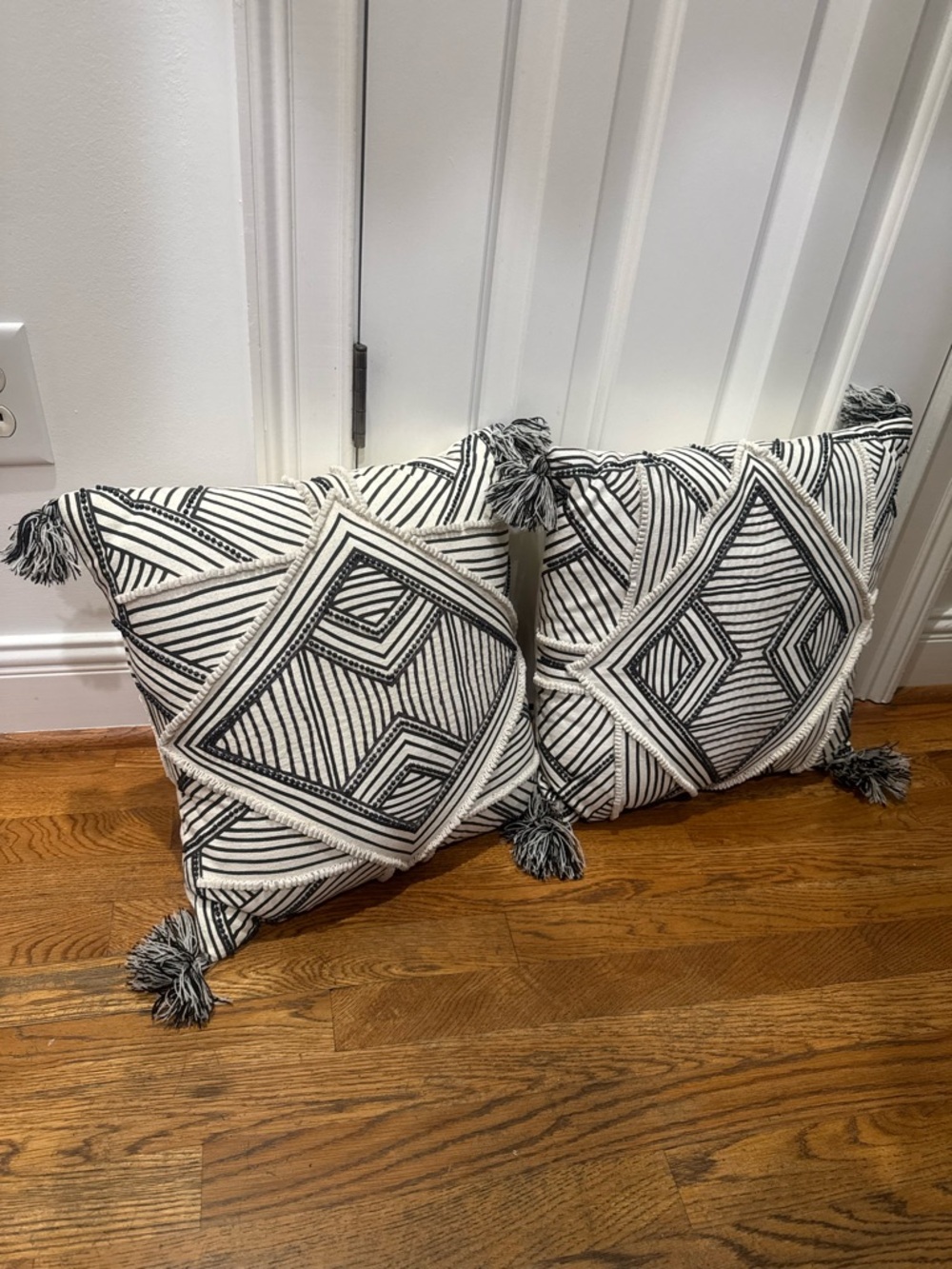 Set of 2 Outdoor/Indoor Pillows